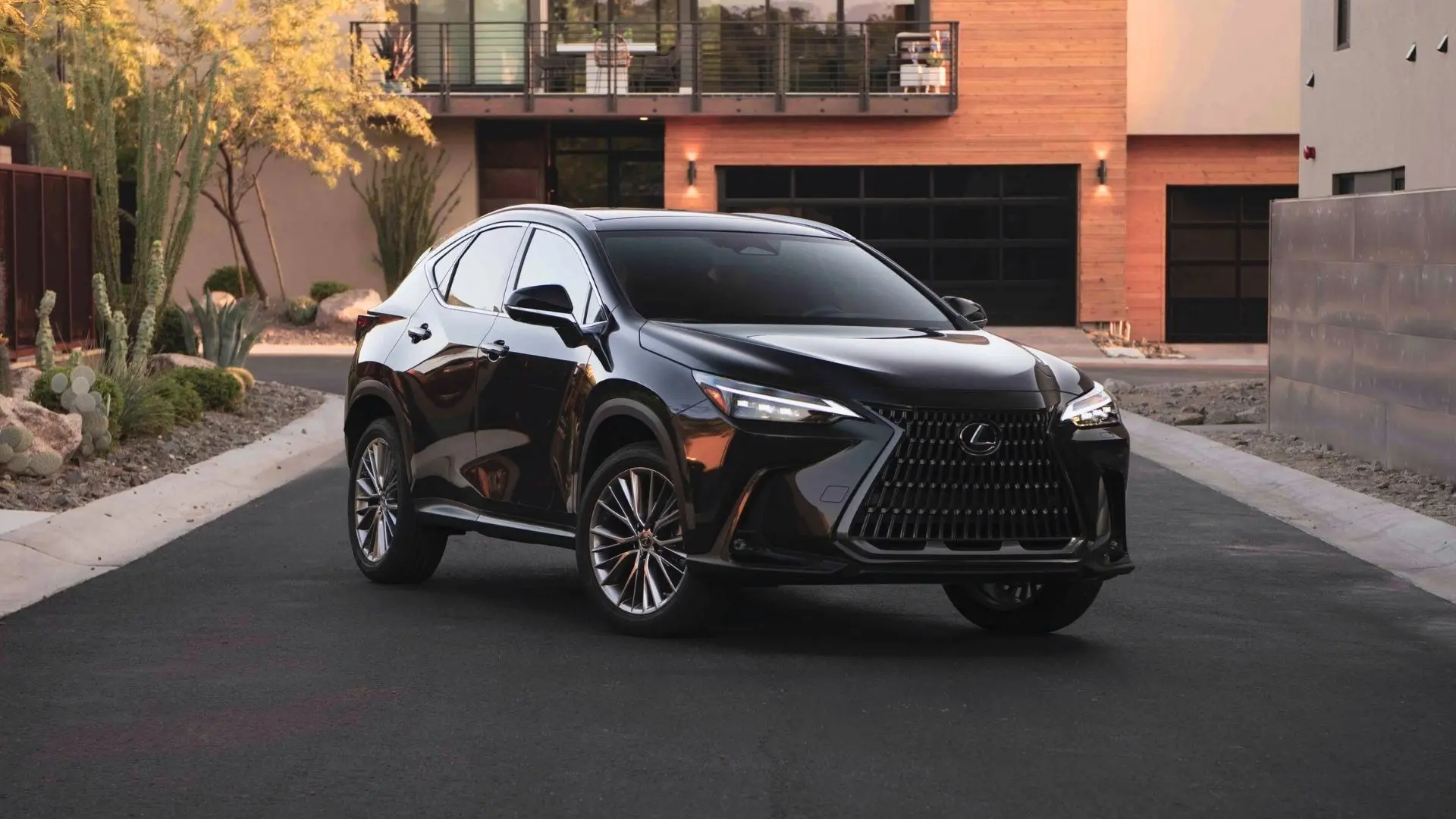 2025 Lexus NX